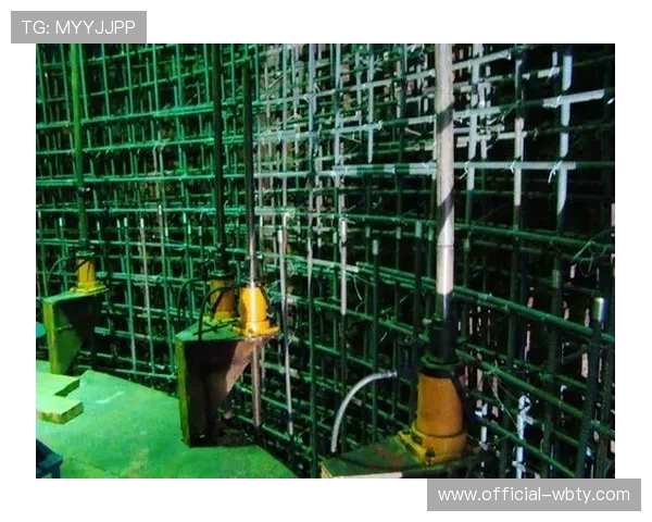 万博app官方下载3.0：用户评价与反馈助你选择最适合的版本